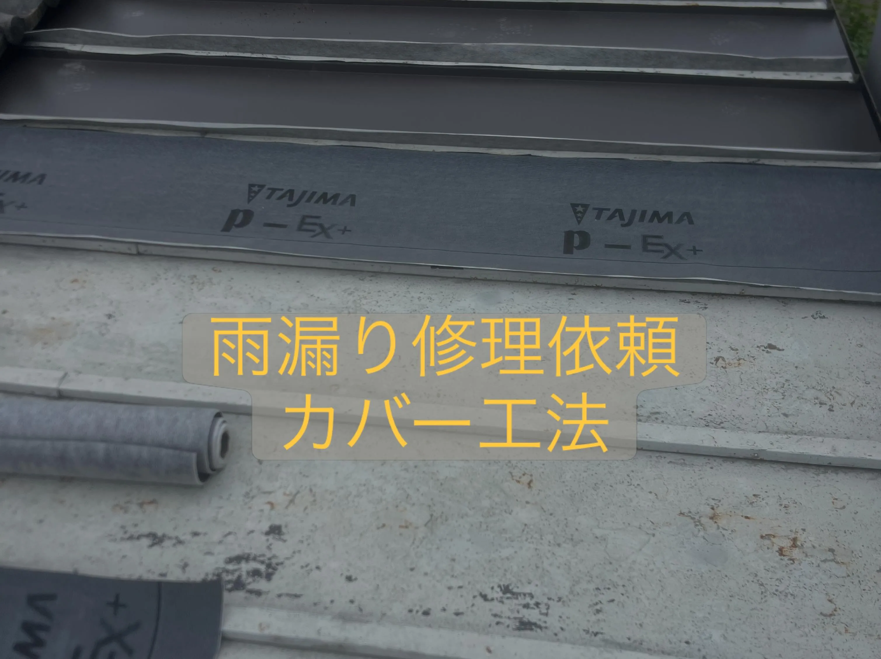 雨漏り修理工事